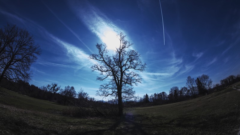 nature, sky, clouds, trees, Sun, grass