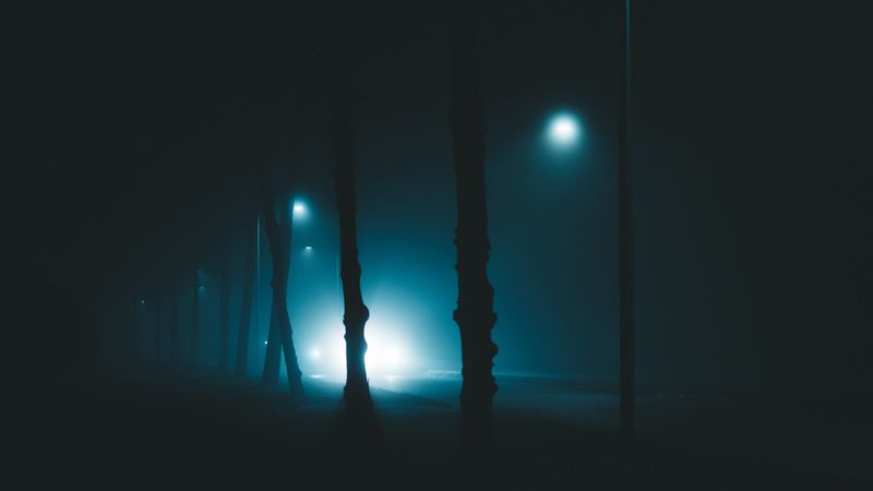 night, trees, fog, lights, light, gloomy, enveloping, 4k