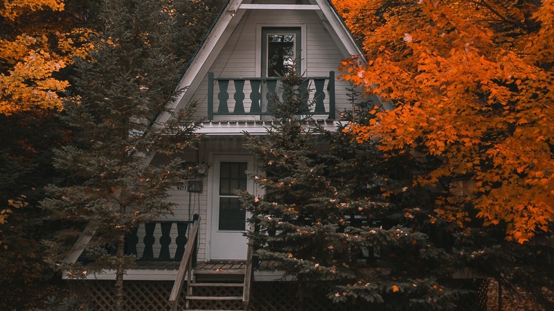 landscape, nature, house, trees, fall, cottage