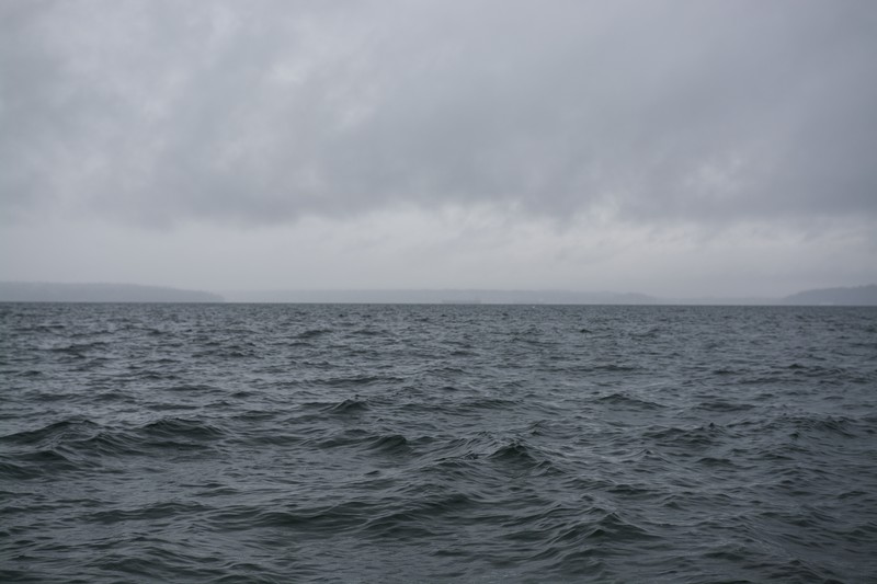 water, calm, waves, sea