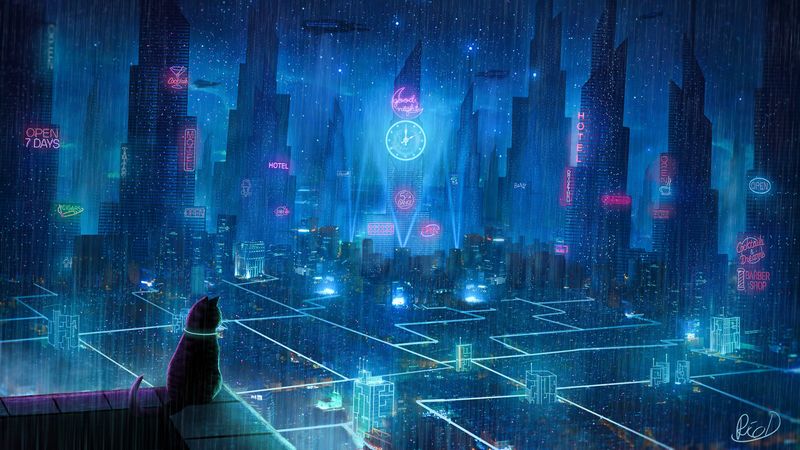 cat, roof, city, neon lights, metropolis, future, cyberpunk, 4k