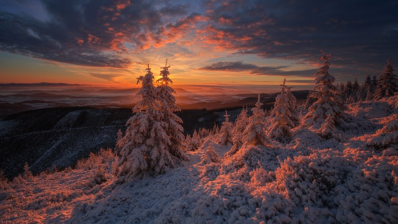 nature, sunset, Sun, sunlight, landscape, snow, clouds, winter