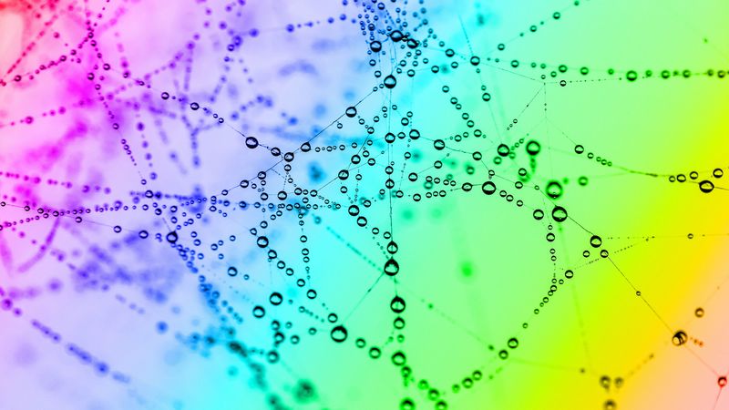 cobweb, drops, color, bright, macro, 4k