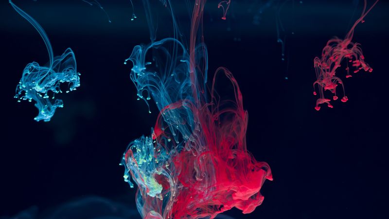 ink, water, blending, paint, drops, red, blue, 4k