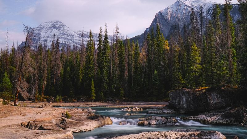 stones, stream, trees, mountains, 4k