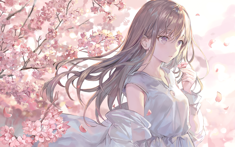 anime girls, original characters, women, blonde, long hair, looking away, dress, white dress, portrait, cherry blossom, petals, windy, artwork, drawing, digital art, illustration, 2D