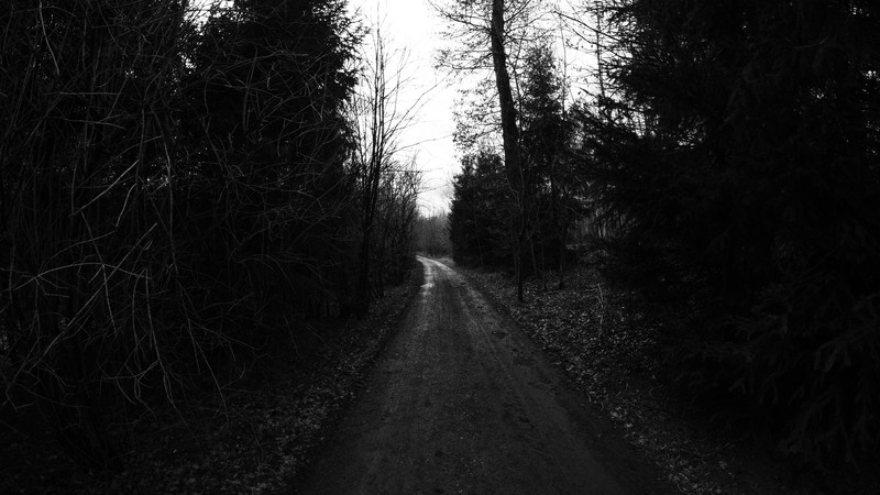 trees, road, wood, monochrome, outdoors, dark