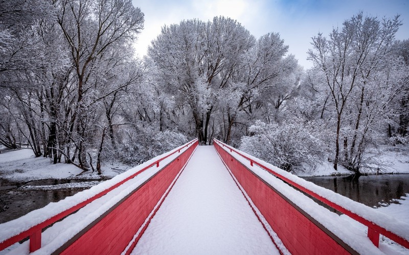 winter, snow, bridge, trees, outdoors, red, white, landscape