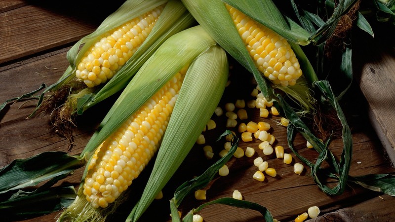 corn, food, plants, wooden surface