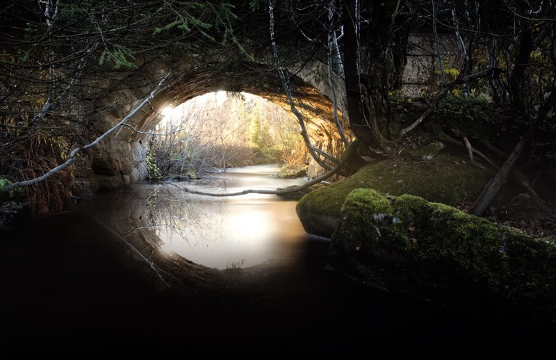 outdoors, plants, dark, water, sunlight, tunnel