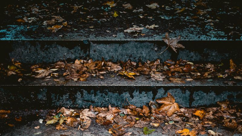 stairs, leaves, autumn, 4k