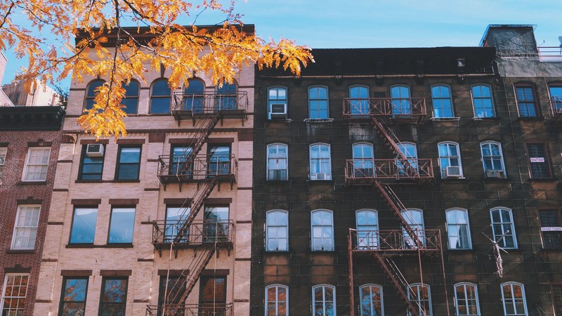 twigs, building, city, window, fall, architecture