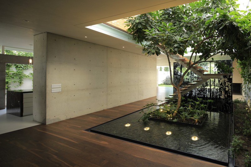 modern, architecture, interior, interior design, plants