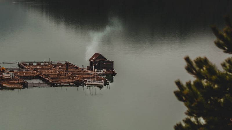 house, lake, forest, fog, 4k