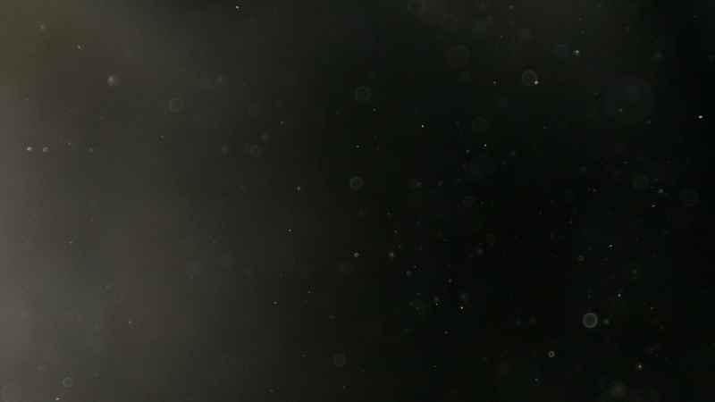 monochrome, black, texture, dark