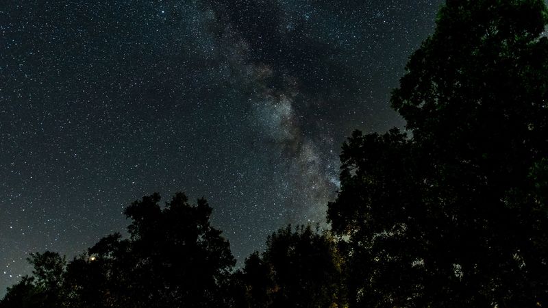 starry sky, milky way, trees, night, stars, 4k