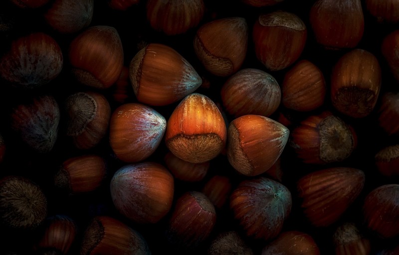 food, nuts, macro