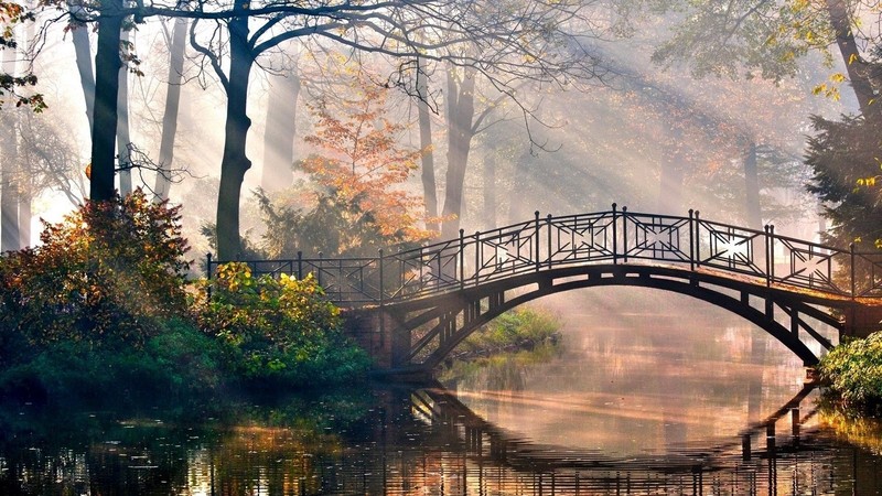 bridge, river, morning, park, dappled sunlight, trees, fall, landscape