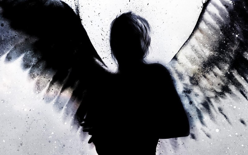 wings, silhouette, grunge