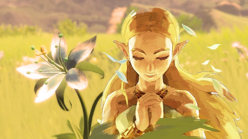 The Legend of Zelda: Breath of the Wild, The Legend of Zelda, video games