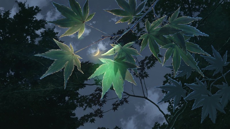 The Garden of Words, anime, Makoto Shinkai