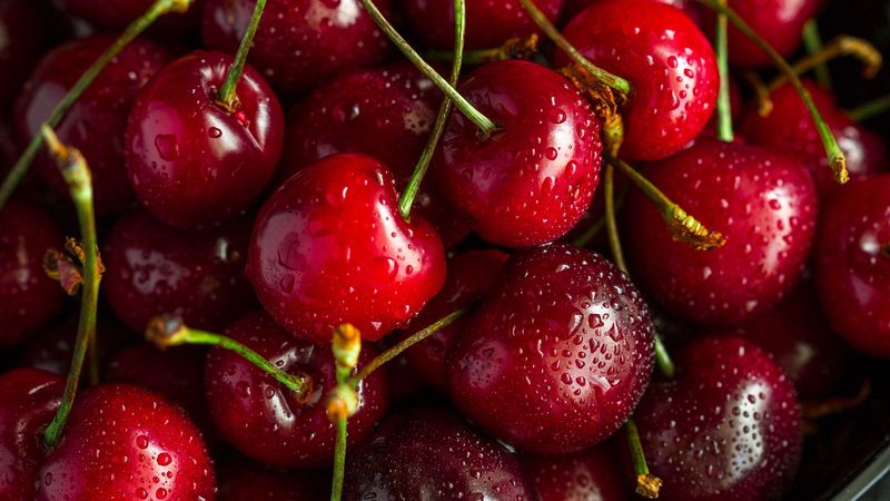 cherry, ripe, wet, berries, harvest, red, drops, 4k