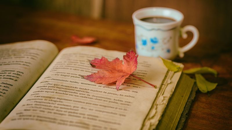 book, leaves, cup, autumn, comfort, reading, coffee, 4k