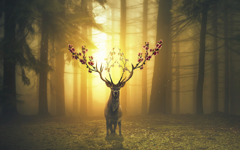 deer, spring, surreal, flowers, nature, trees, Sun, grass, digital art