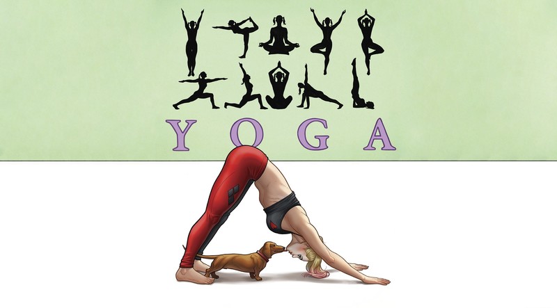 artwork, yoga, dog, women, working out, Harley Quinn, Frank Cho