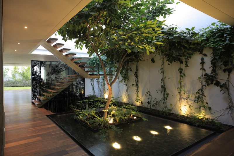 interior, stairs, plants, modern