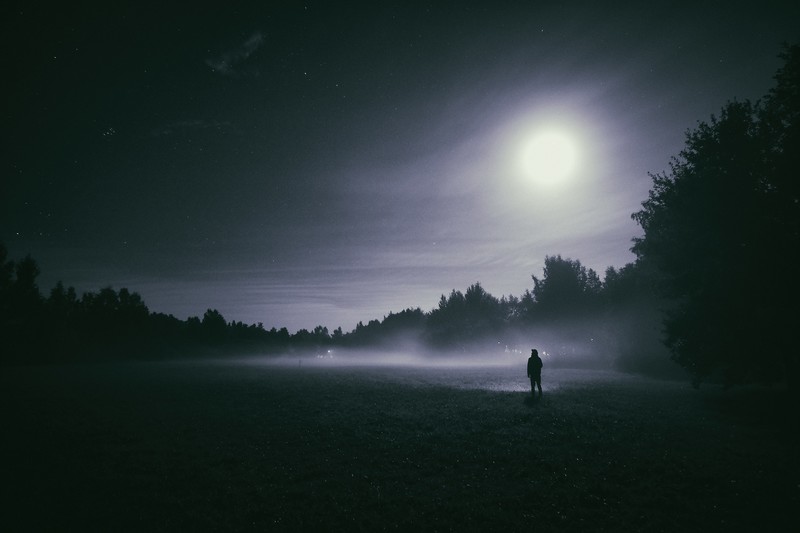 landscape, nature, trees, forest, field, Moon, moon rays, moonlight, standing, mist