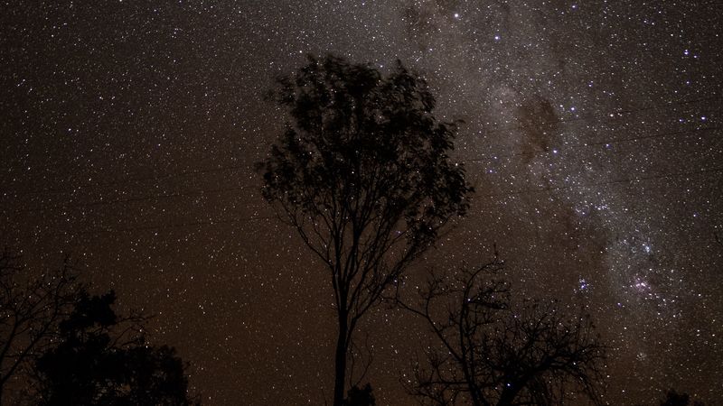 starry sky, night, milky way, trees, outlines, stars, 4k