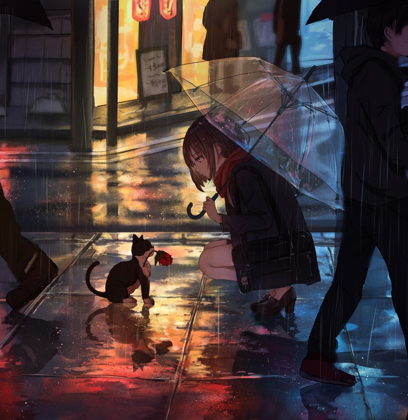 anime girls, cats, anime, umbrella, urban, city, rain, catzz