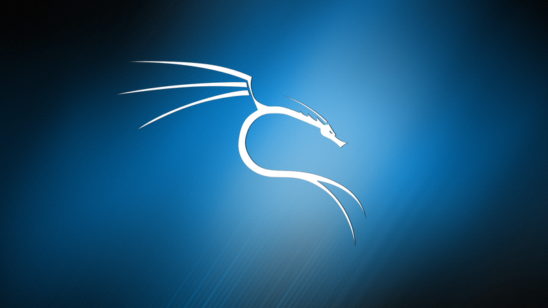 Kali Linux, Linux, texture, dragon, abstract, blue background