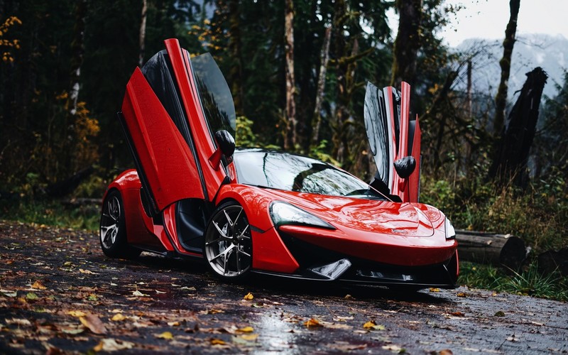 car, McLaren 570S, supercars, leaves