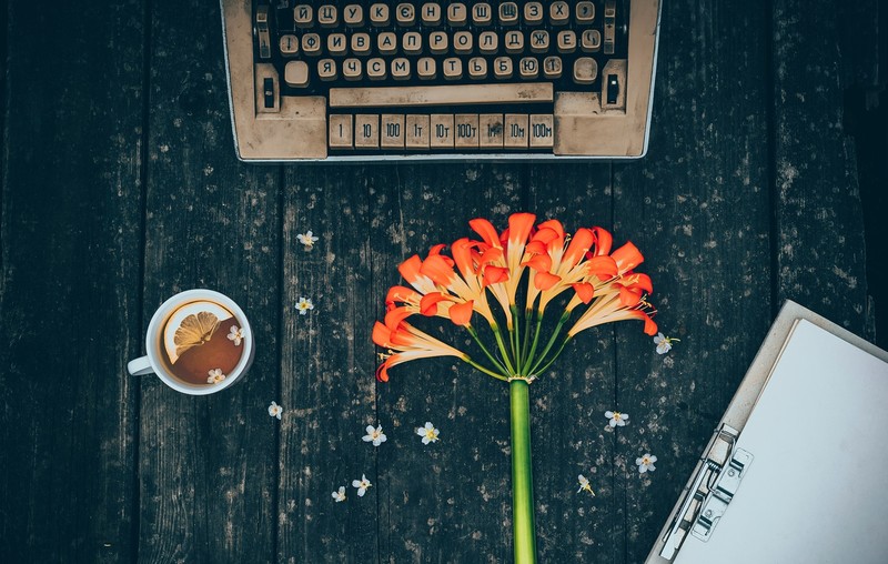 still life, typewriters, flowers, cup, old, numbers, tea