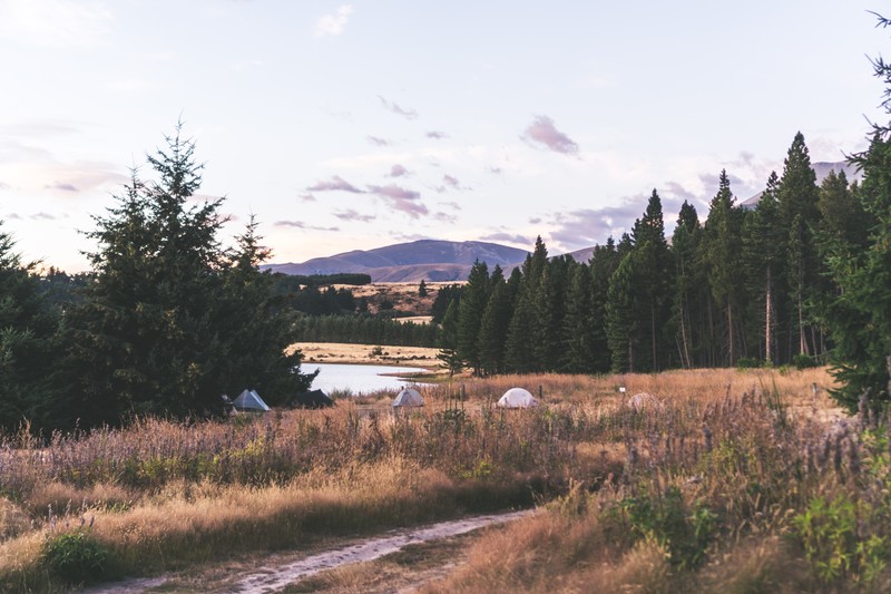 landscape, nature, New Zealand, mountains, field, lake
