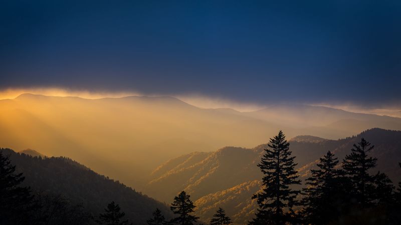 mountains, trees, fog, clouds, tops, 4k