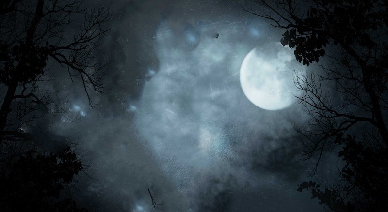 night, Moon, dark, sky, trees