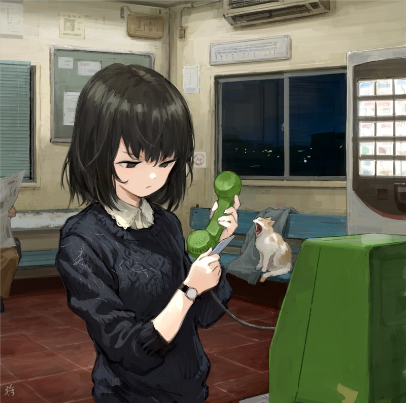anime, anime girls, dark hair, cats, original characters
