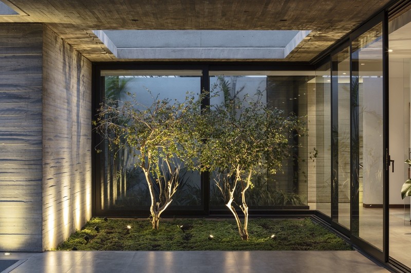 plants, building, house, architecture, trees, window, moss