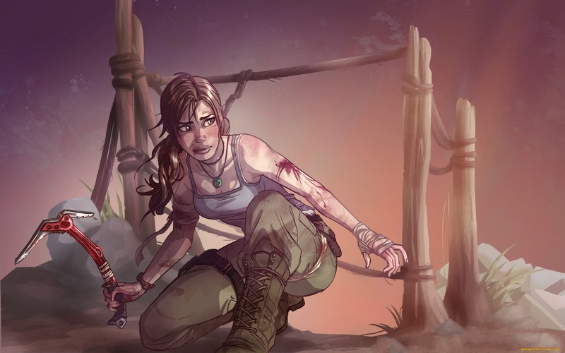 Video Game Heroes, fan art, video games, Lara Croft, Tomb Raider