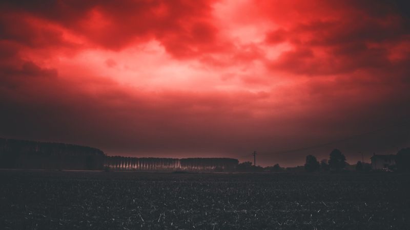 sunset, sky, horizon, field, clouds, red, 4k