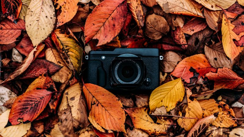 camera, foliage, autumn, leaves, 4k