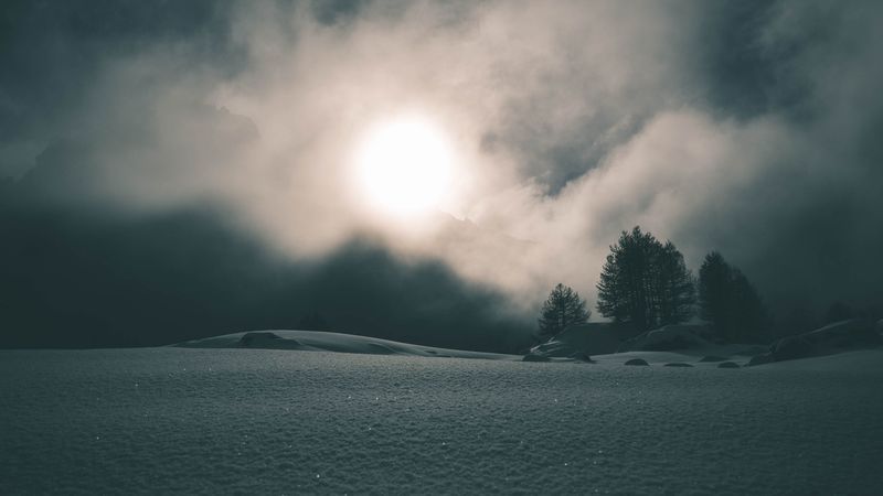 fog, snow, trees, night, 4k