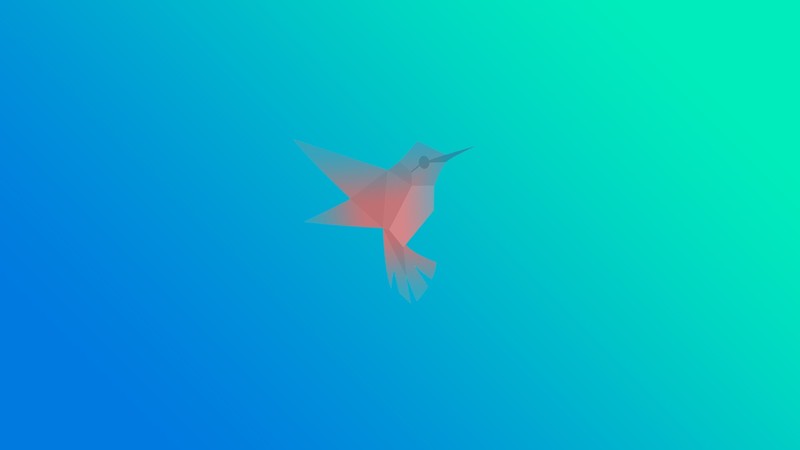 Google, programming language, minimalism, hummingbird