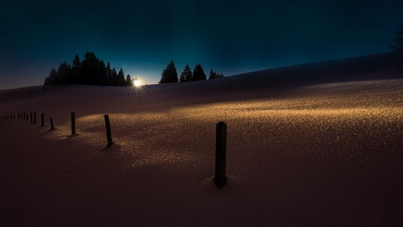 winter, snow, night, trees, light, 4k