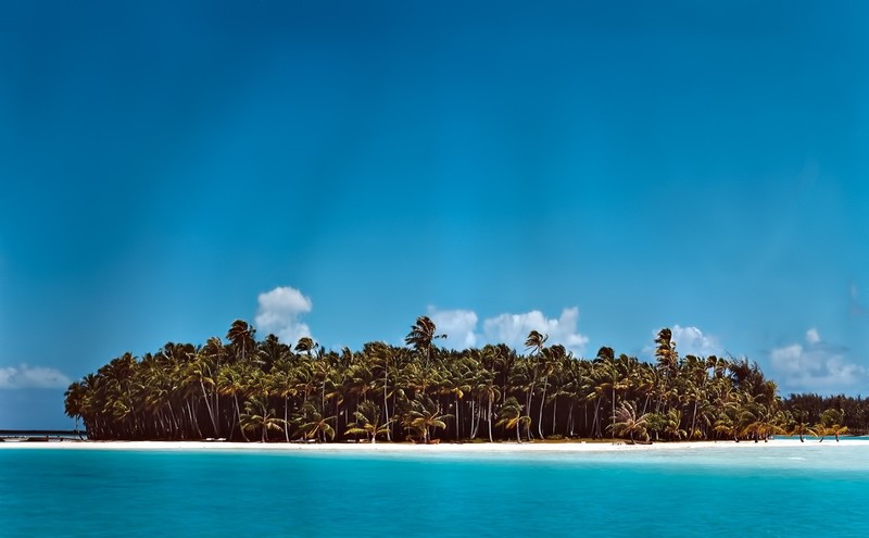 nature, island, palm trees, beach, sea, landscape
