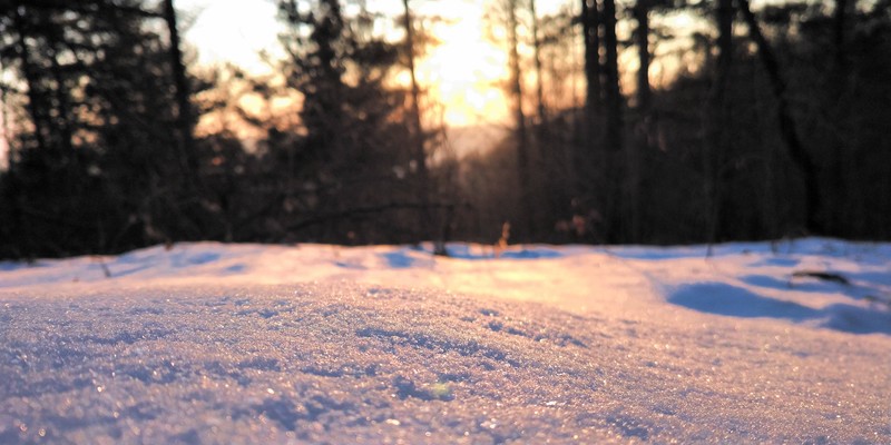 photography, winter, snow, outdoors, sunlight
