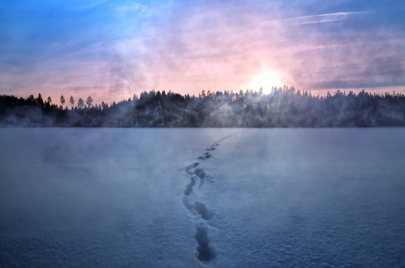 sunlight, cold, snow, landscape, winter, outdoors